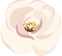 floral 2 floral 2