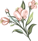 floral-4 floral 4